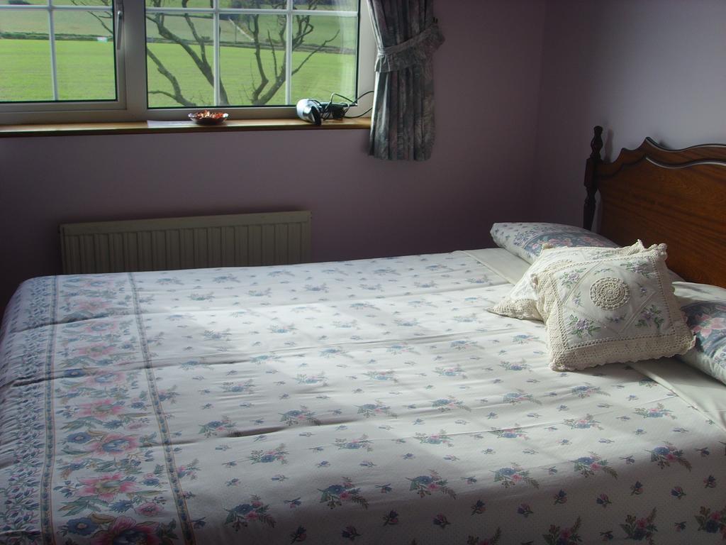 Springfield House B&B Clonakilty Δωμάτιο φωτογραφία